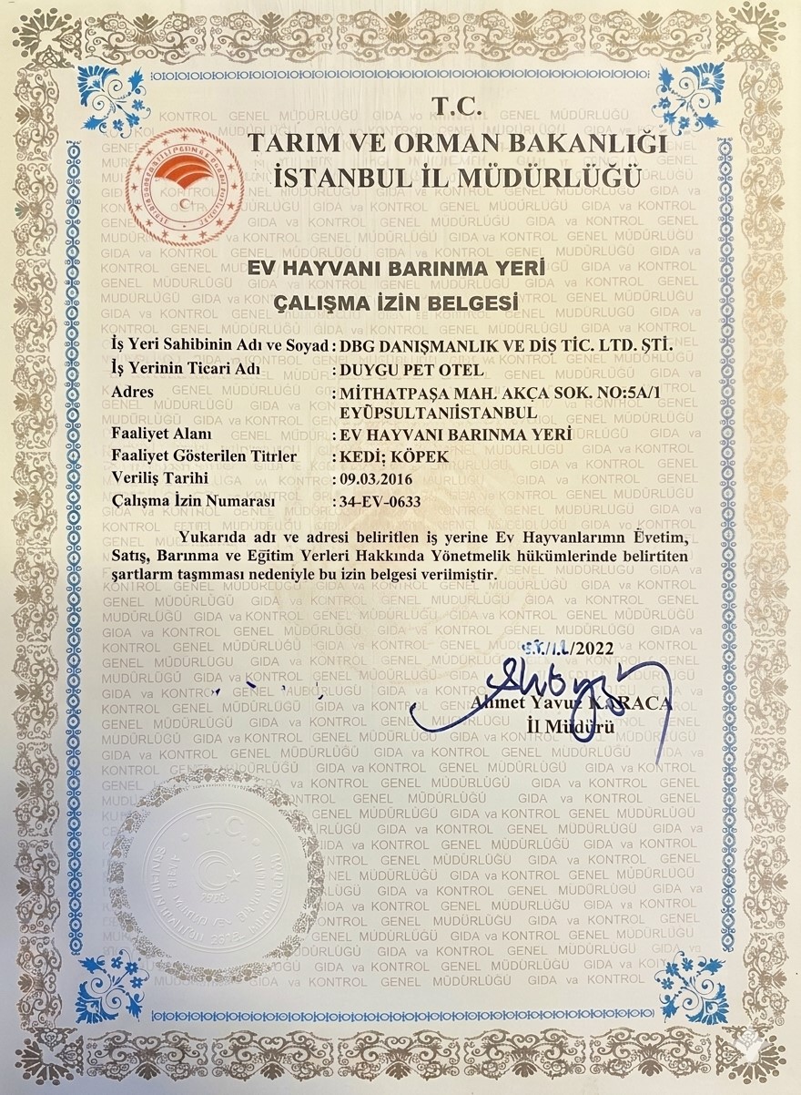 Sertifika 3